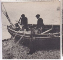 Photo Bateau De Pêche Immatriculée F1774avant  Le Départ   Réf 30231 - Boten