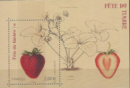 F 4535  FRANCE 2011 FEUILLET F4535 FETE DU TIMBRE FRAISIER RUBIS ESTAMPE DU PEINTRE ALFRED RIOCREUX - Mint/Hinged