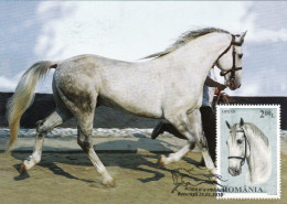 HORSES,2010 MAXICARD,CARTES MAXIMUM ROMANIA. - Paarden