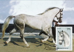 HORSES,2010 MAXICARD,CARTES MAXIMUM ROMANIA. - Cavalli