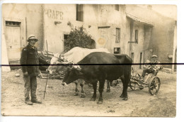 Carte Photo A Identifier  CPA . Attelage De Bœufs Devant Un Café - Fotografie