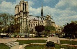 France > [75] Paris > Notre Dame De Paris - Le Square Viviani - 7668 - Notre-Dame De Paris