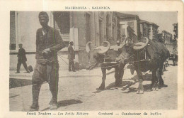 LES PETITS METIERS  Salonique  Le Conducteur De Buffles   2 Scans - Ambachten