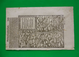 ST-FR ALSACE ELSASS 1592 Sebastian Münster Cosmographia Universalis - Prints & Engravings