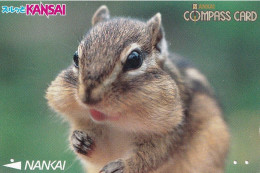 Japan Prepaid Nankai Card 1000 - Kansai Squirrel - Giappone
