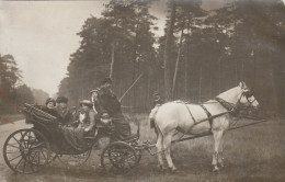 FONTAINEBLEAU   ATTELAGE  CARTE-PHOTO - Fontainebleau