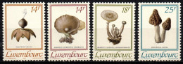 Luxemburg 1991 - Mi.Nr. 1267 - 1270 - Postfrisch MNH - Pilze Mushrooms - Mushrooms