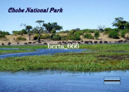 Botswana Chobe National Park New Postcard - Botswana