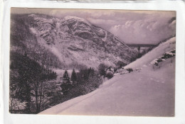 CPA :  14 X 9  -  MOREZ  Du  JURA.  -  La  Roche  Au  Dade - Morez