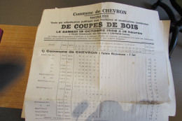 COMMUNE DE CHEVRON - COUPES DE BOIS - ENCHERES 1958 - LOTS -  - VOIR SCANS - Afiches