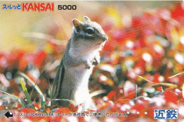 Japan Prepaid Kansai Card 5000 - Squirrel ? Mouse ? - Japón