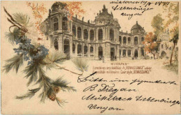 Budapest - Litho - Ganzsache - Hongarije