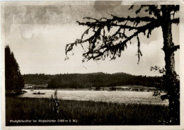 Windgfällweiher Bei Alglashütten - Loerrach