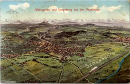 Weingarten Aus Der Vogelschau - Künstlerkarte Eugen Felle - Autres & Non Classés