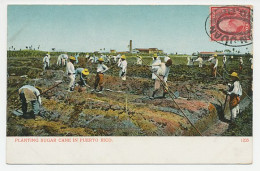 Postcard Puerto Rico 1910 Sugar Cane - San Juan - Alimentazione