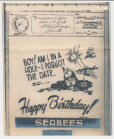 V-Mail To USA 1944 ( With Envelope ) Seabees - Happy Birthday - Fight - WW2