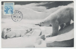 Maximum Card Canada 1954 Polar Bear  - Spedizioni Artiche