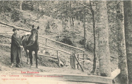 D8521 Luchon Fontaine Chemin De Superbagnères - Luchon