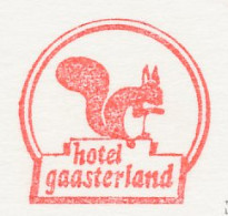 Meter Card Netherlands 2005 Squirrel - Rijs - Sonstige & Ohne Zuordnung