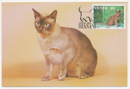 Maximum Card Venda 1993 Cat - Other & Unclassified