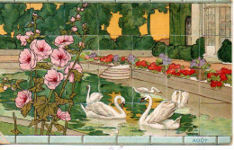 Illustrée Carrelages Chocolat D'Aiguebelles . CYGNES ET ROSES TREMIERES AU MOIS D'AOUT - 1900-1949