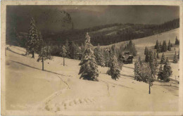 Feldberg - Hebelhof - Feldberg