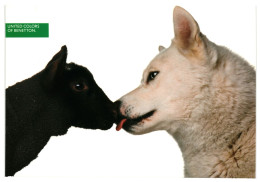 Wolf And Lamb Kissing 1990-91 Unused United Colors Of Benetton Advertising Postcard Publisher Benetton Group Milan Italy - Advertising