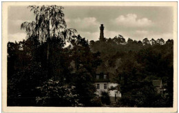 Bad Freienwalde - Blick Zum Aussichtsturm - Bad Freienwalde