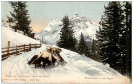 Bobfahren - Partie De Bobsleigh Dans Les Alpes - Sport Invernali