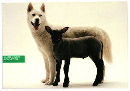 Wolf And Lamb 1990-91 Unused United Colors Of Benetton Advertising Postcard. Publisher Benetton Group Milan Italy - Werbepostkarten