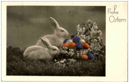 Fröhliche Ostern - Hasen - Pâques