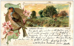 Vogel - Litho - Prägekarte - Oiseaux