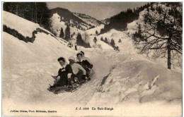 Bobsleigh - Sports D'hiver