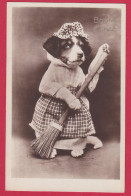 AE442 FANTAISIES CHIEN CHIENNE HABILLEE - Dressed Animals