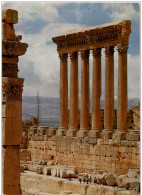 Liban - Colonnes Du Temple De Jupiter - Liban