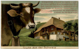 Kuh - Gruss Aus Der Schweiz - Prägekarte - Vaches