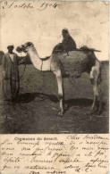 Camel - Chameaux Du Desert - Andere & Zonder Classificatie