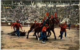 Corrida De Toros - Stierkampf