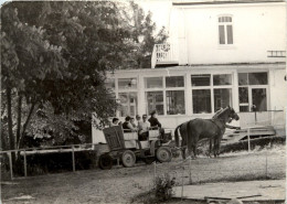 Kühlungsborn - DMR Haus Zur Kühlung - Kühlungsborn