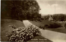 Wiesbaden - Dambachtal - Wiesbaden