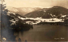 Titisee Im Schwarzwald Im Winter - Titisee-Neustadt