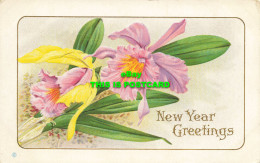 R620980 New Year Greetings. Series 257 F. Greeting Card - World