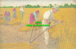 R620986 Workers. Hay. Harvesting - World
