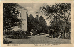 Ibbenbüren - Partie Aus Dem Kurpark Waldfrieden - Ibbenbüren