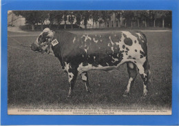 61 ORNE - DORCEAU Taureau Normand Appartenant à Mr. Joseph Aveline - Autres & Non Classés