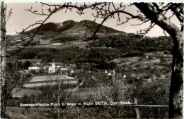 Steiermark - Sommerfrische Puch Bei Weiz M. Kulm - Weiz