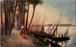 Banks Of The Nile Near Cairo - Le Caire