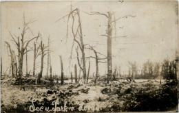 ZonnebekeSee Und Park Hooge - Sonstige & Ohne Zuordnung