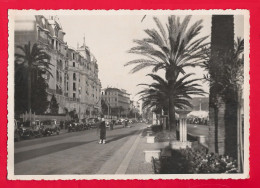 NICE - NIZZA - Viste Panoramiche, Panorama