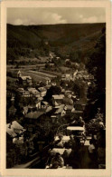 Schwarzburg/Thür.Wald - Blick Von Der Hotel-Terrasse Schwarzaburg - Saalfeld